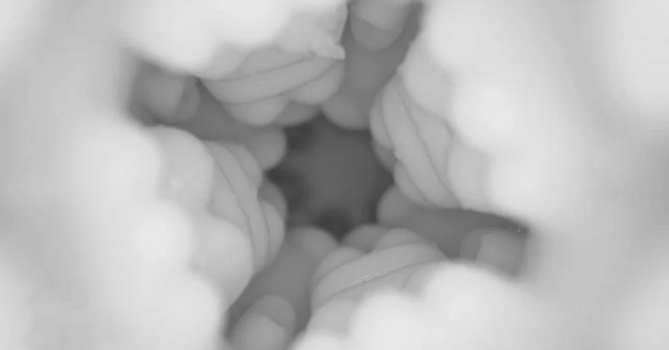 ONY NOMAD - Image 3